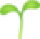 ص ص